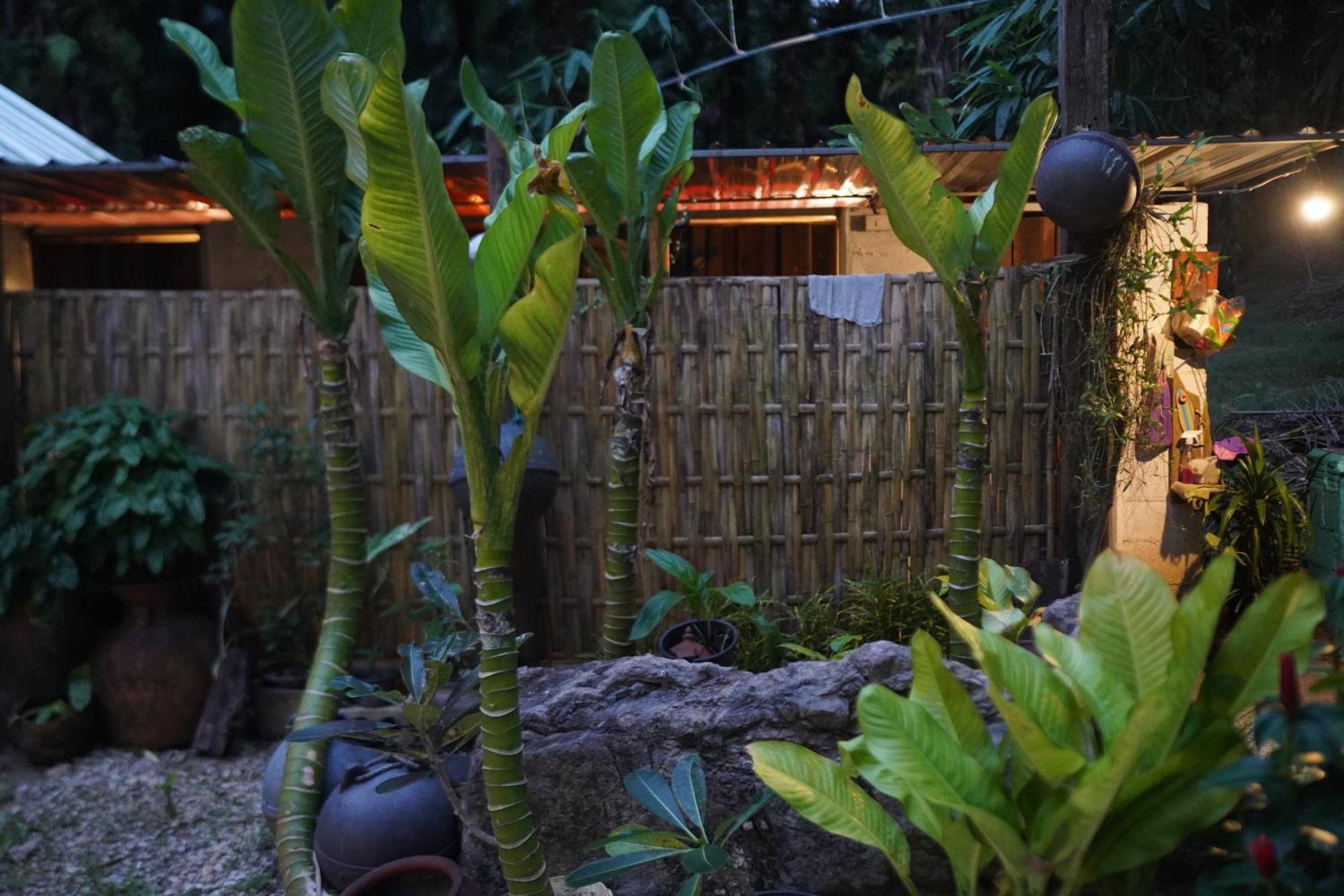Krabi Bamboo Kingdom At Aoluek Paradise Ao Luk Buitenkant foto
